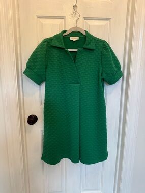 Lovely Melody Kelly Green Textured Short Sleeve Mini Dress